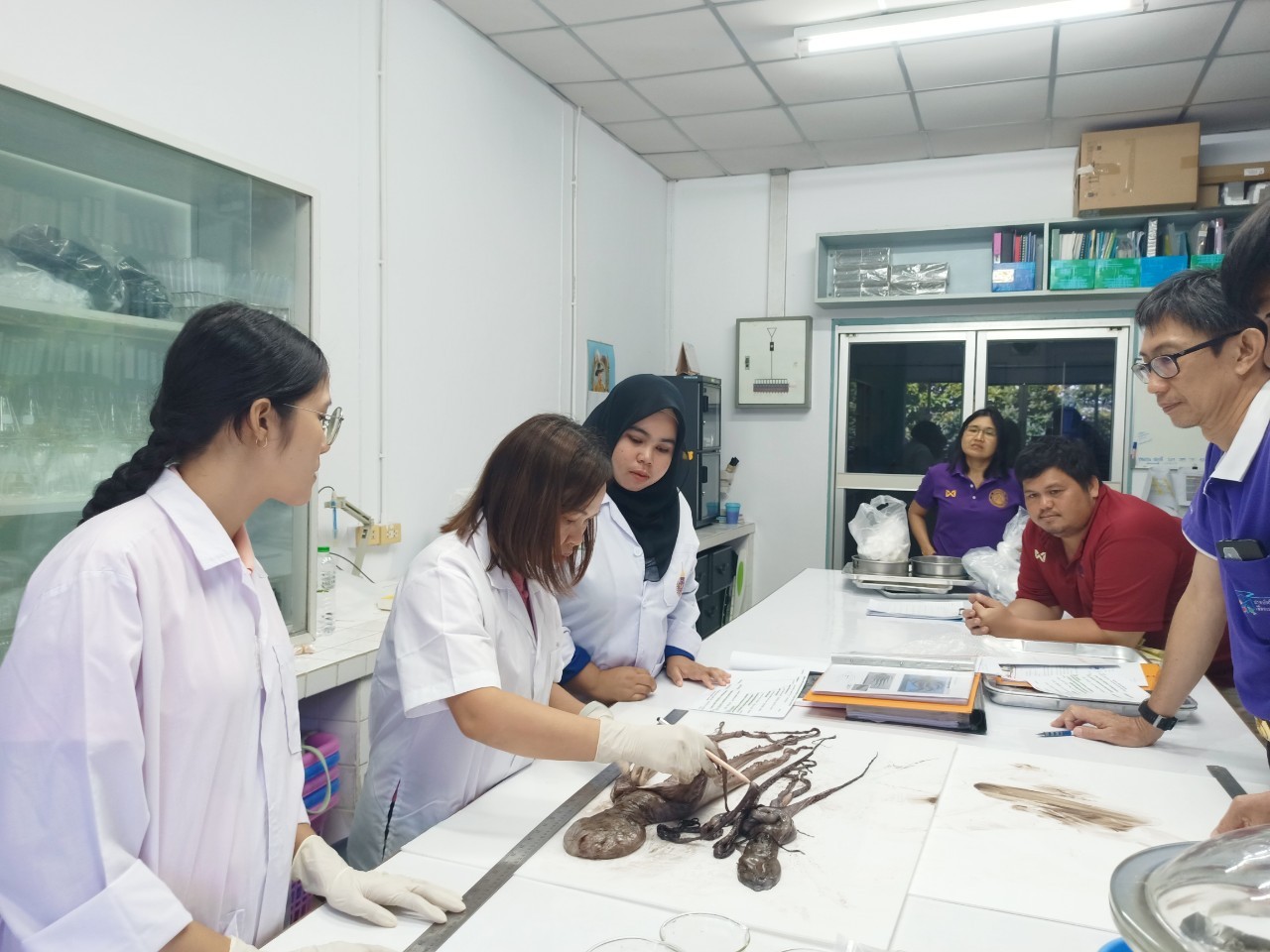 วันอังคารที่ 20 กุมภาพันธ์ 2567 #เจ้าหน้าที่ศูนย์วิจัยและพัฒนาประมงทะเลสงขลา# ให้บริการจำแนกชนิดสัตว์น้ำแก่บริษัทผู้แปรรูปผลิตภัณฑ์สัตว์น้ำ เพื่อออกหนังสือรับรองผลการตรวจสอบชนิดสัตว์น้ำ จำนวน 1 ราย..คลิก