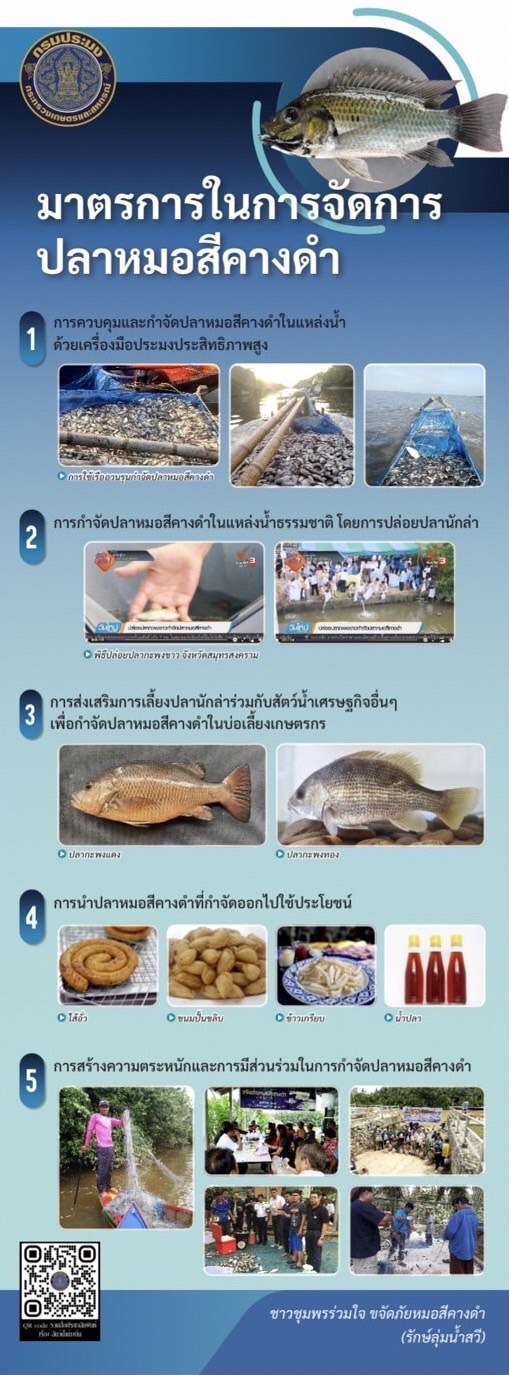 สัตว์น้ำต่างถิ่นและปลาหมอสีคางดำ..คลิก