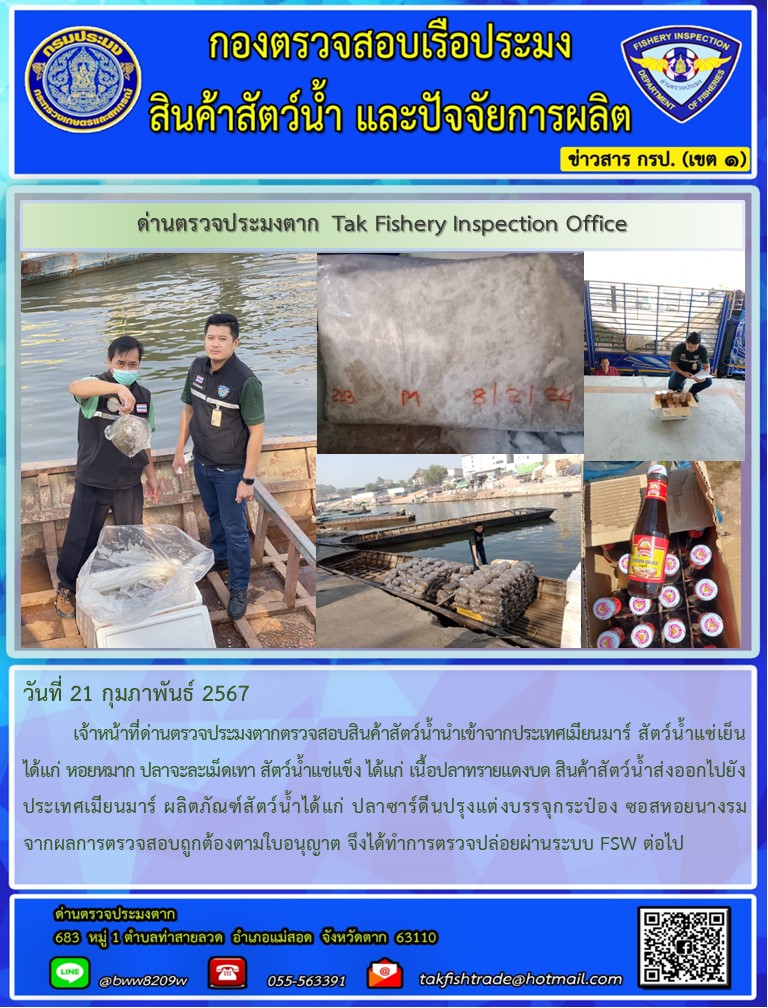 วันที่ 21 กุมภาพันธ์ 2567           เจ้าหน้าที่ด่านตรวจประมงตากตรวจสอบสินค้าสัตว์น้ำนำเข้าจากประเทศเมียนมาร์ สัตว์น้ำแช่เย็น ได้แก่ หอยหมาก ปลาจะละเม็ดเทา สัตว์น้ำแช่แข็ง ได้แก่ เนื้อปลาทรายแดงบด สินค้าสัตว์น้ำส่งออกไปยังประเทศเมียนมาร์ ผลิตภัณฑ์สัตว์น้ำได้แก่ ปลาซาร์ดีนปรุงแต่งบรรจุกระป๋อง ซอสหอยนางรม จากผลการตรวจสอบถูกต้องตามใบอนุญาต จึงได้ทำการตรวจปล่อยผ่านระบบ FSW ต่อไป..คลิก