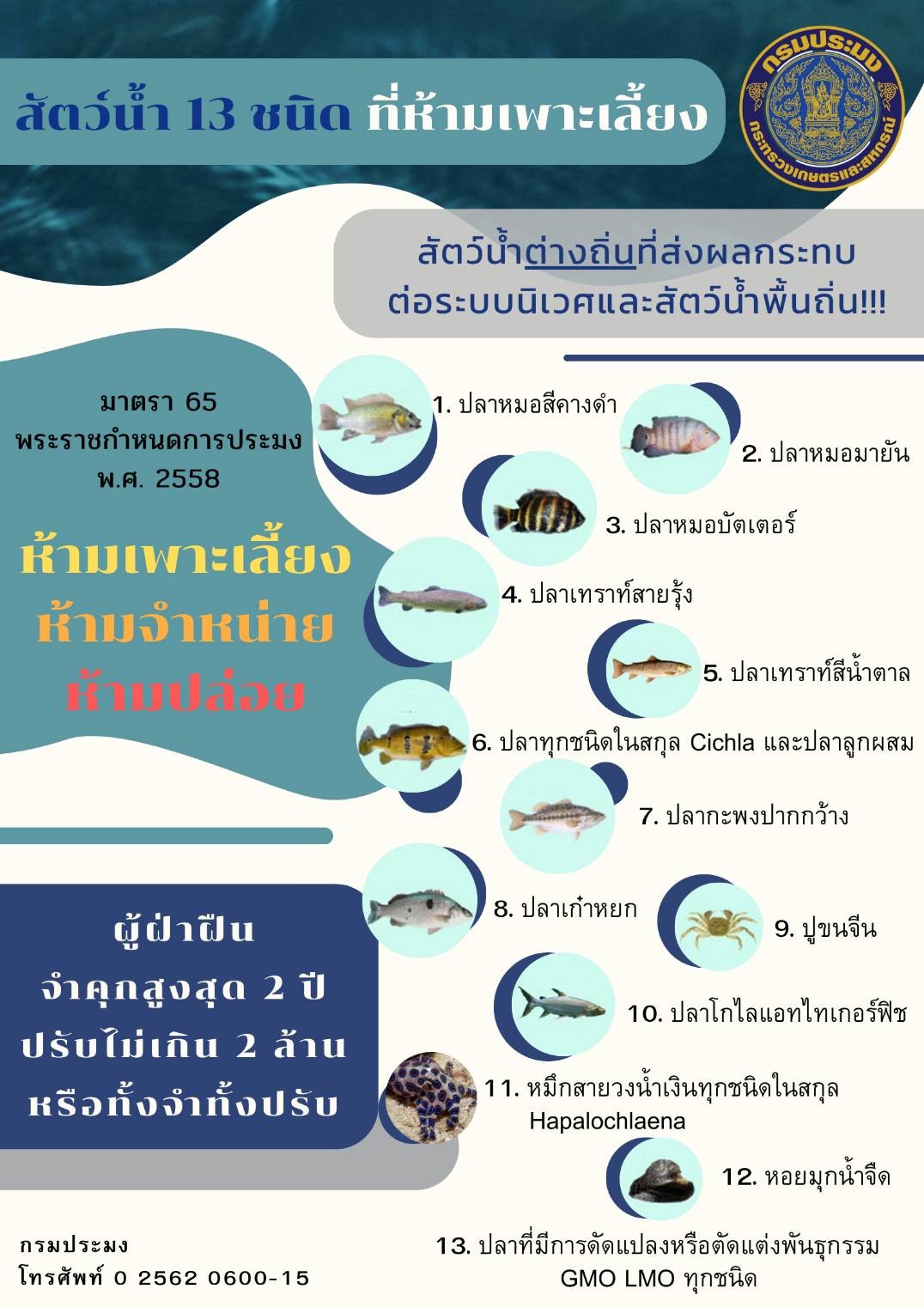 สื่อประชาสัมพันธ์เกี่ยวกับสัตว์น้ำต่างถิ่นและปลาหมอสีคางดำ