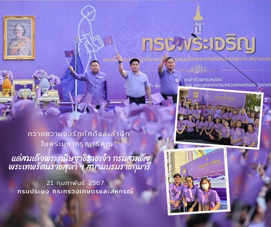 พิธีถวายความจงรักภักดีและสำนึกในพระมหากรุณาธิคุณแด่สมเด็จพระกนิษฐาธิราชเจ้า กรมสมเด็จพระเทพรัตนราชสุดา ฯ สยามบรมราชกุมารี