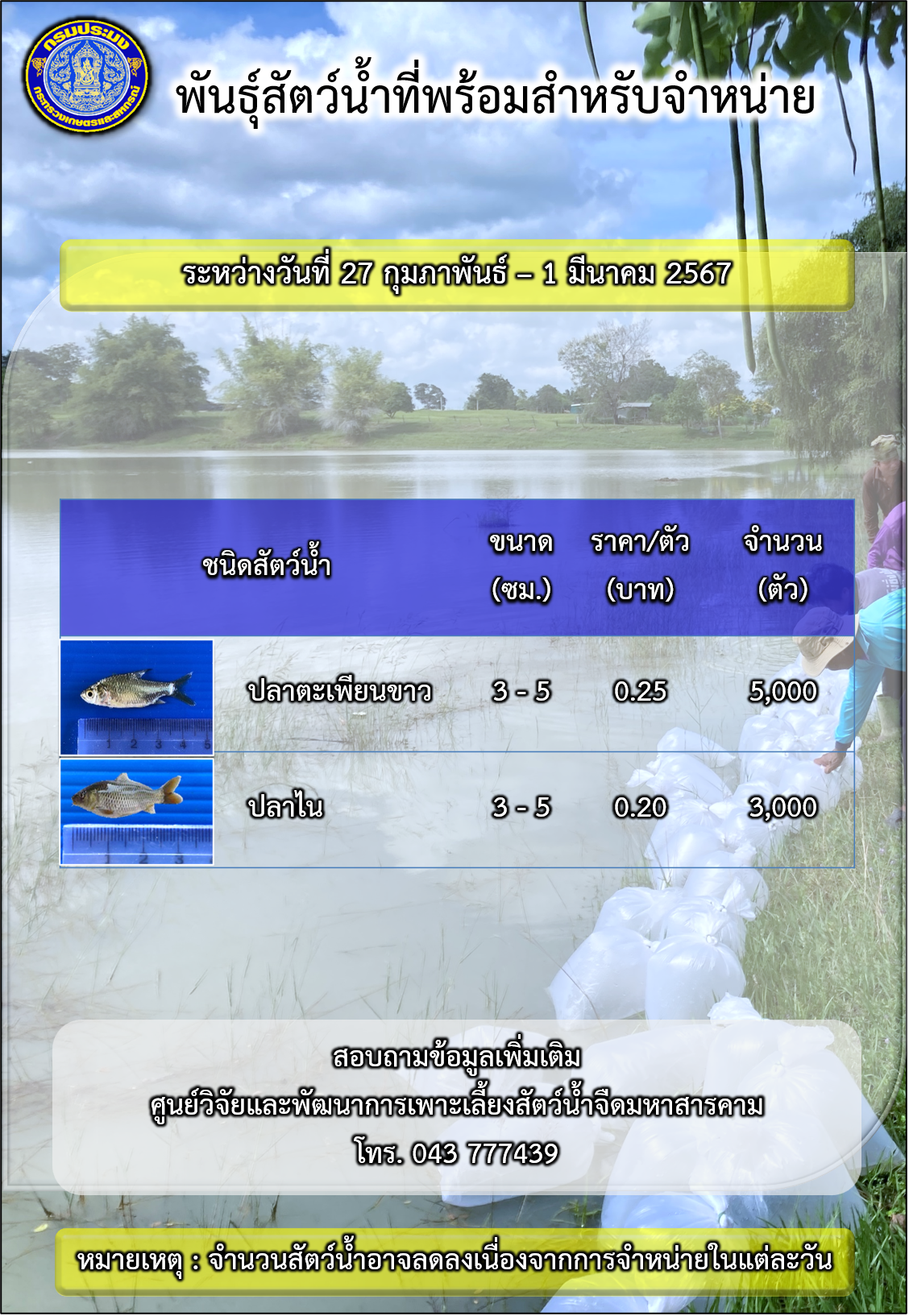 พันธุ์สัตว์น้ำที่พร้อมสำหรับจำหน่าย ระหว่างวันที่ 27 กุมภาพันธ์ - 1 มีนาคม 2567..คลิก