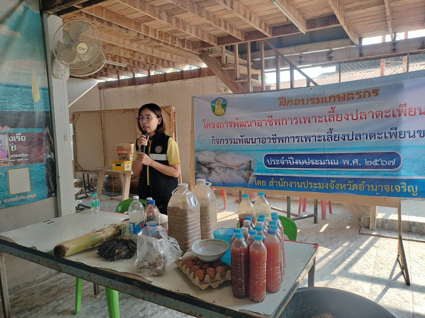 โครงการพัฒนาอาชีพการเพาะเลี้ยงปลาตะเพียนขาวในบ่อดิน ภายใต้แผนการปฏิบัติงานและแผนการใช้จ่ายงบประมาณประจำปี พ.ศ 2566 ของกลุ่มจังหวัดภาคตะวันออกเฉียงเหนือตอนล่าง 2 ประจำปีงบประมาณ พ.ศ 2567..คลิก