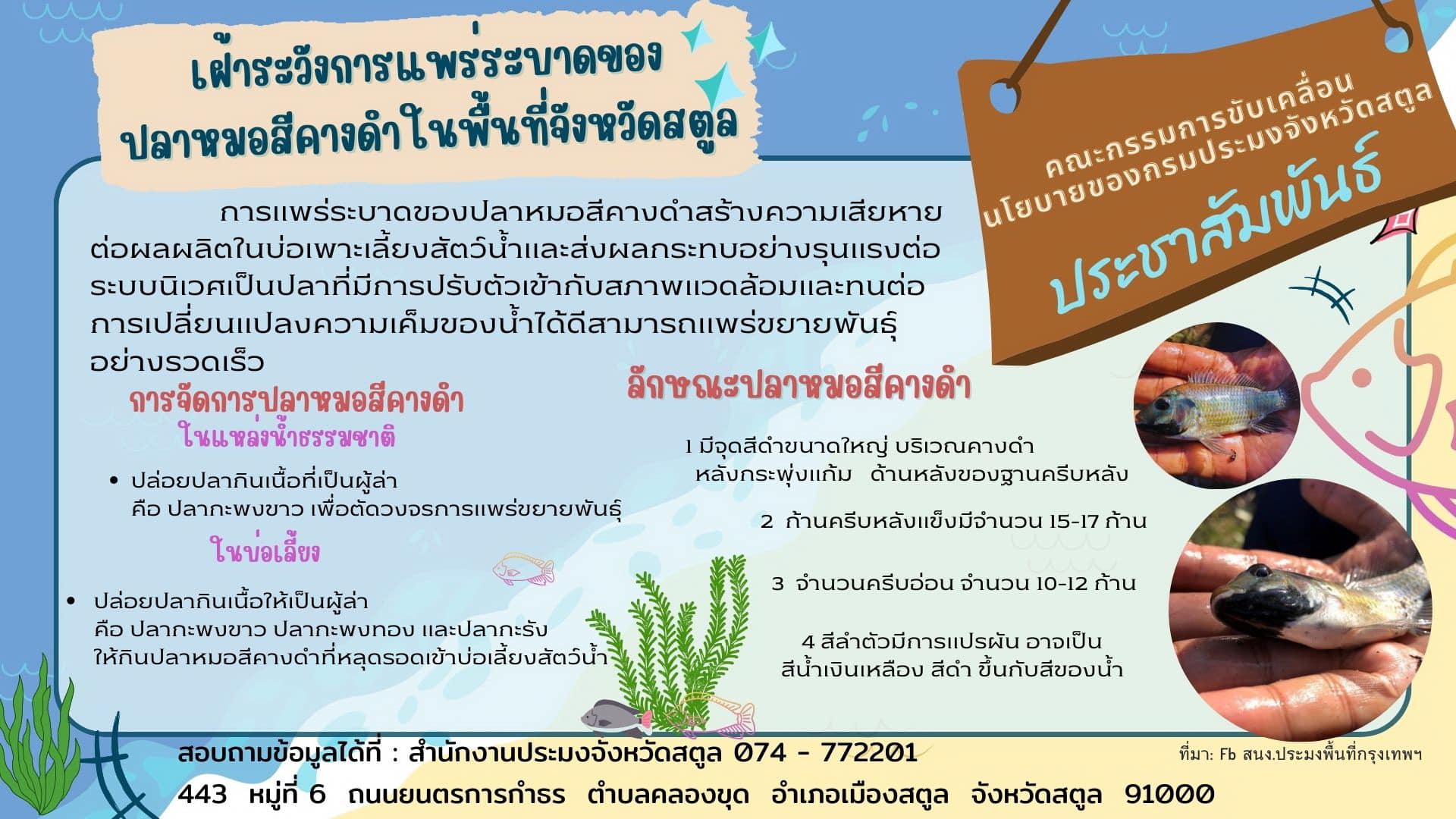 รูป ประกอบบทความ11