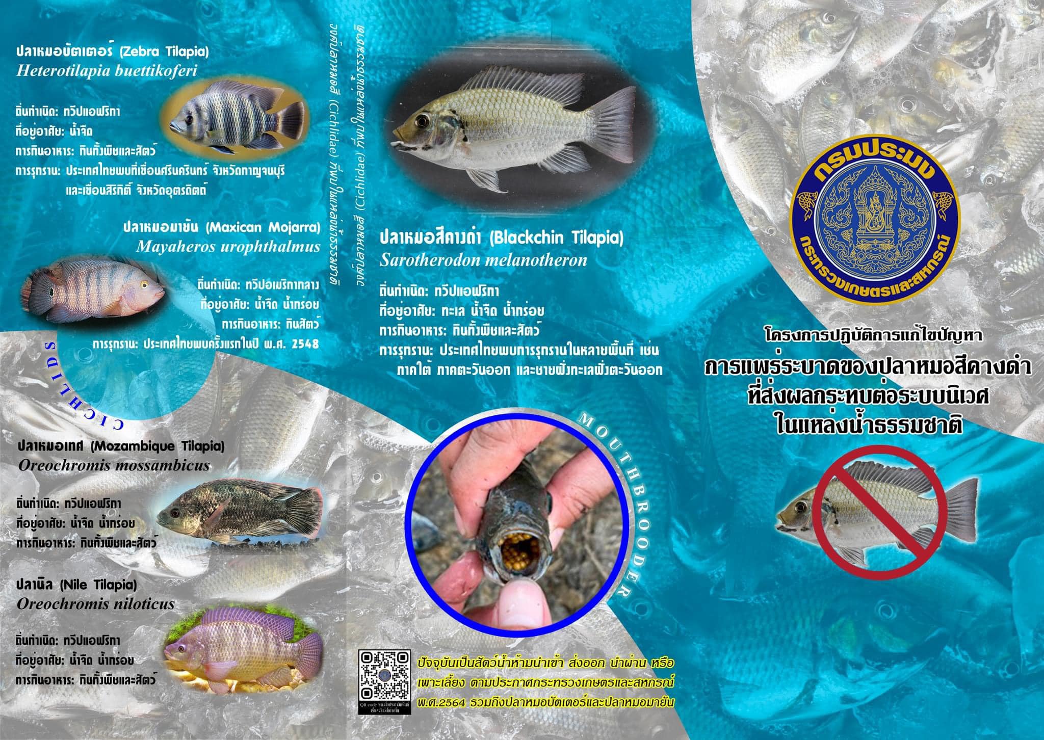 รูป ประกอบบทความ2