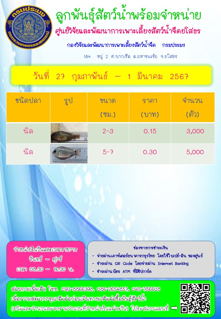ลูกพันธุ์สัตว์น้ำพร้อมจำหน่าย 27 ก.พ. - 1 มี.ค. 2567..คลิก