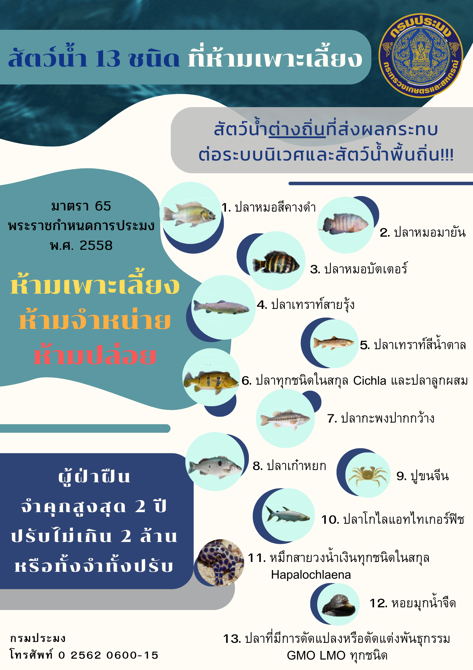 ห้ามเพาะเลี้ยงสัตว์น้ำต่างถิ่น 13 ชนิด