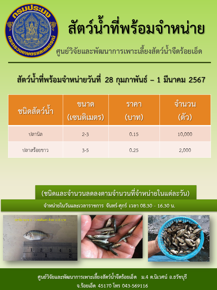 สัตว์น้ำที่พร้อมจำหน่ายวันที่ 28 กุมภาพันธ์ – 1 มีนาคม 2567..คลิก