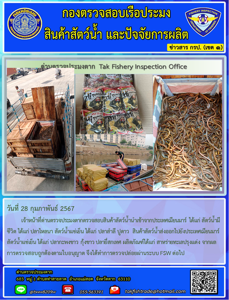 วันที่ 28 กุมภาพันธ์ 2567           เจ้าหน้าที่ด่านตรวจประมงตากตรวจสอบสินค้าสัตว์น้ำนำเข้าจากประเทศเมียนมาร์ ได้แก่ สัตว์น้ำมีชีวิต ได้แก่ ปลาไหลนา สัตว์น้ำแช่เย็น ได้แก่ ปลาสำลี ปูดาว  สินค้าสัตว์น้ำส่งออกไปยังประเทศเมียนมาร์ สัตว์น้ำแช่เย็น ได้แก่ ปลากะพงขาว กุ้งขาว ปลายี่สกเทศ ผลิตภัณฑ์ได้แก่ สาหร่ายทะเลปรุงแต่ง จากผลการตรวจสอบถูกต้องตามใบอนุญาต จึงได้ทำการตรวจปล่อยผ่านระบบ FSW ต่อไป..คลิก