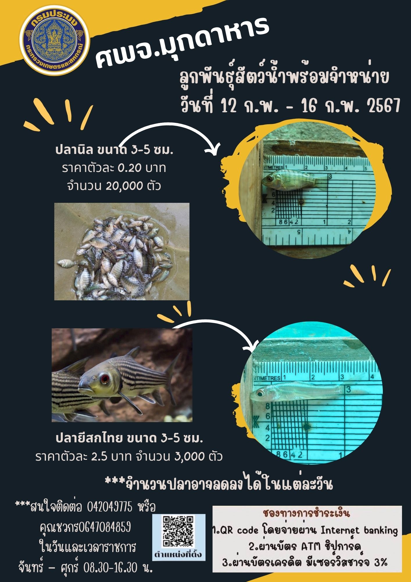 ลูกพันธุ์สัตว์น้ำพร้อมจำหน่าย 12-16 กุมภาพันธ์ 2567..คลิก