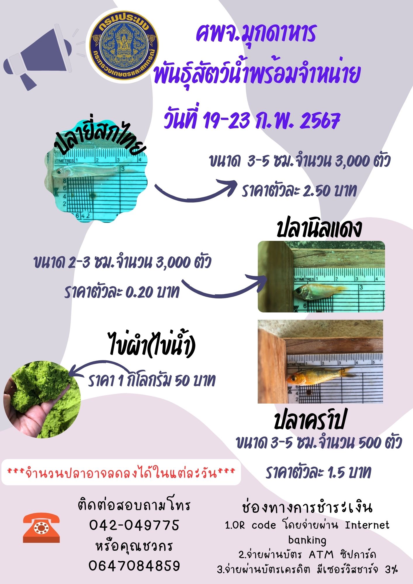ลูกพันธุ์สัตว์น้ำพร้อมจำหน่าย 19-23 กุมภาพันธ์  2567..คลิก