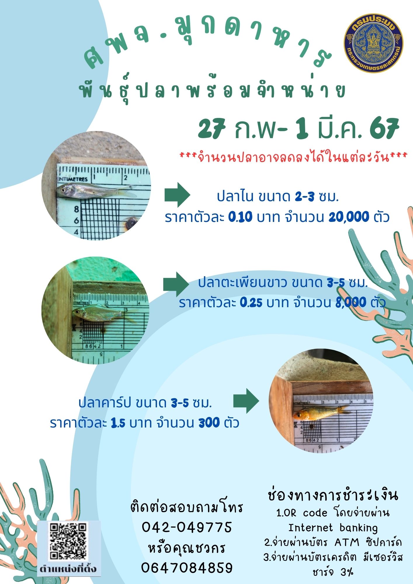 ลูกพันธุ์สัตว์น้ำพร้อมจำหน่าย 27กุมภาพันธ์ -1 มีนาคม 2567..คลิก