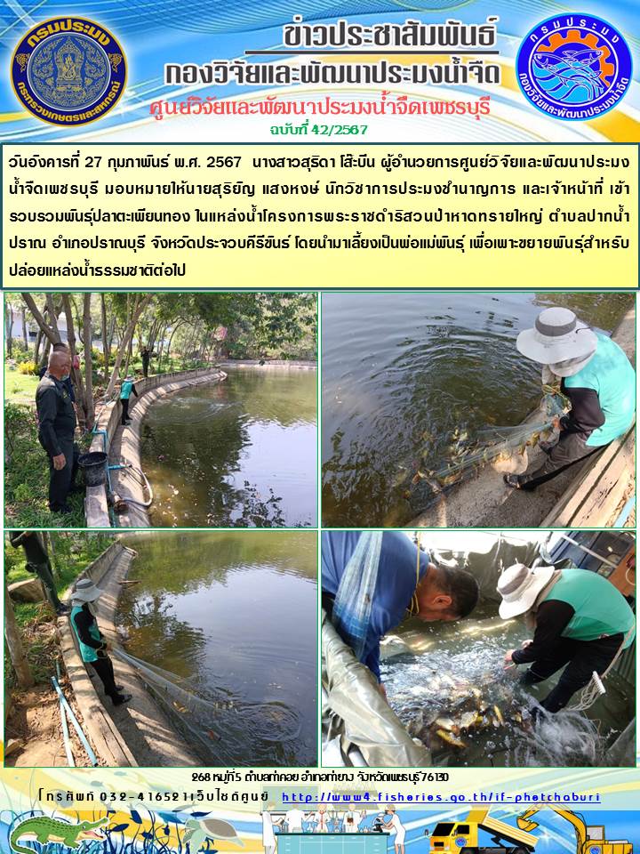 ข่าวประชาสัมพันธ์ครั้งที่ 42/2567