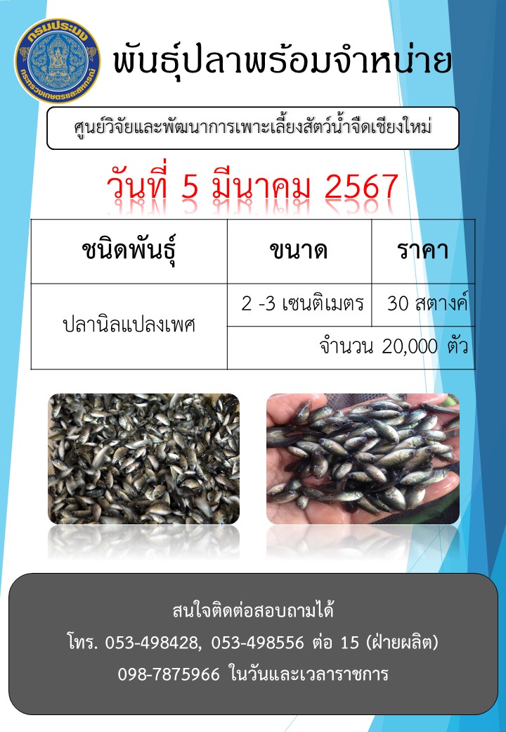 พันธุ์ปลาพร้อมจำหน่าย วันที่ 5 มีนาคม 2567