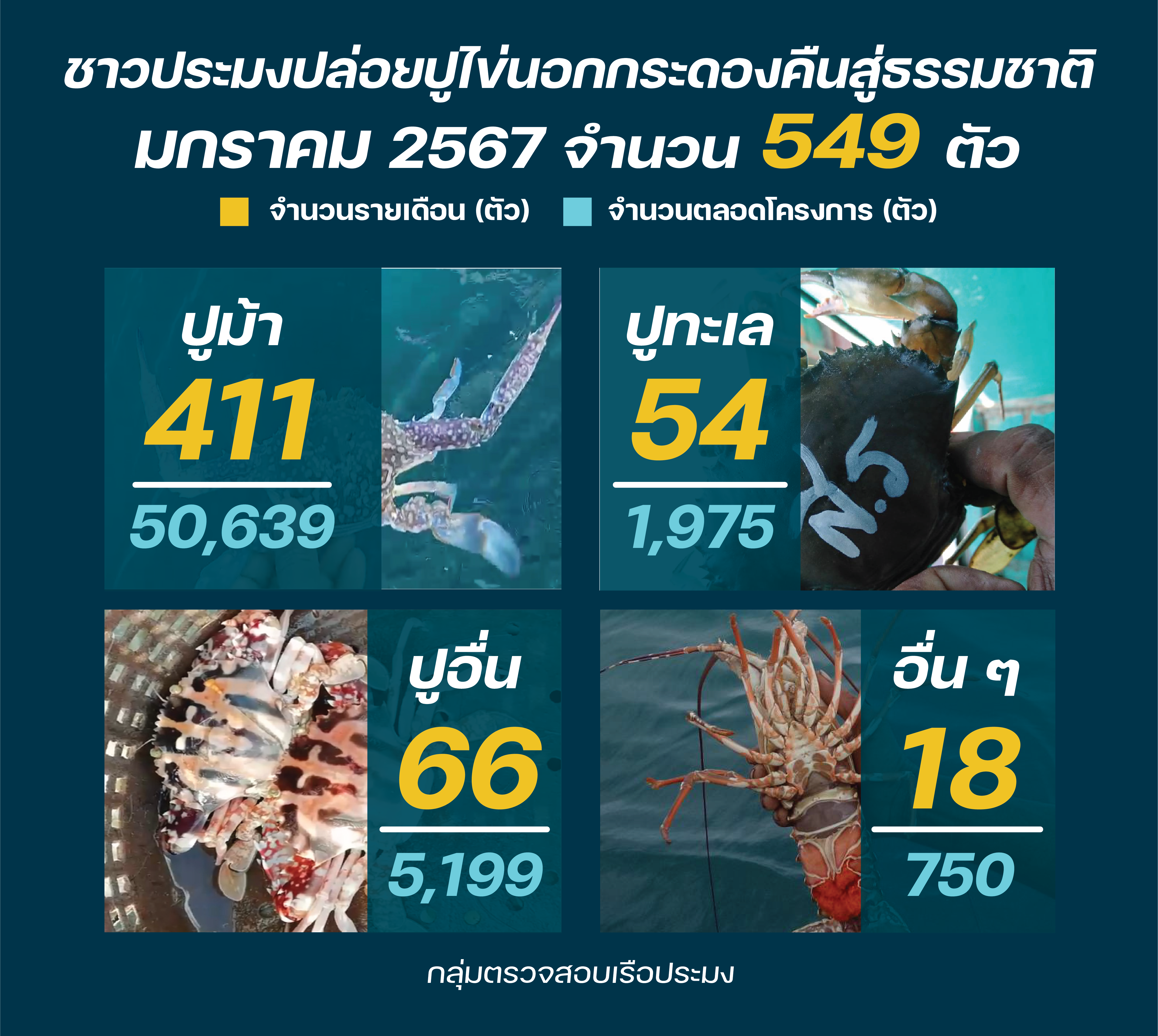 ชาวประมง ปล่อยปูไข่ มกราคม 2567..คลิก
