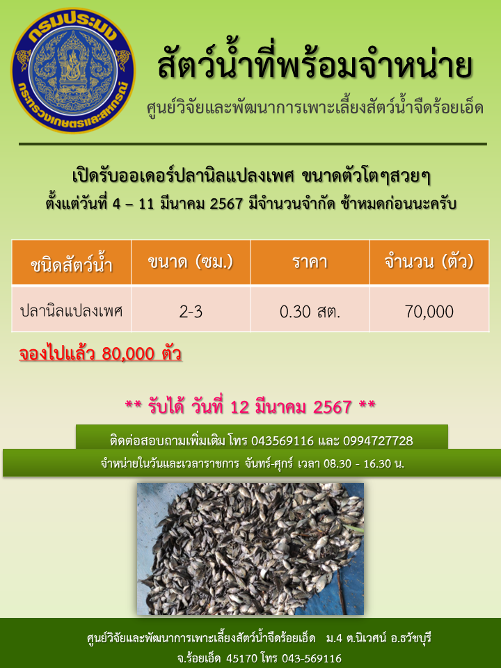 เปิดรับออเดอร์ปลานิลแปลงเพศ ขนาดตัวโตๆสวยๆ ตั้งแต่วันที่ 4 – 11 มีนาคม 2567 มีจำนวนจำกัด ช้าหมดก่อนนะครับ..คลิก