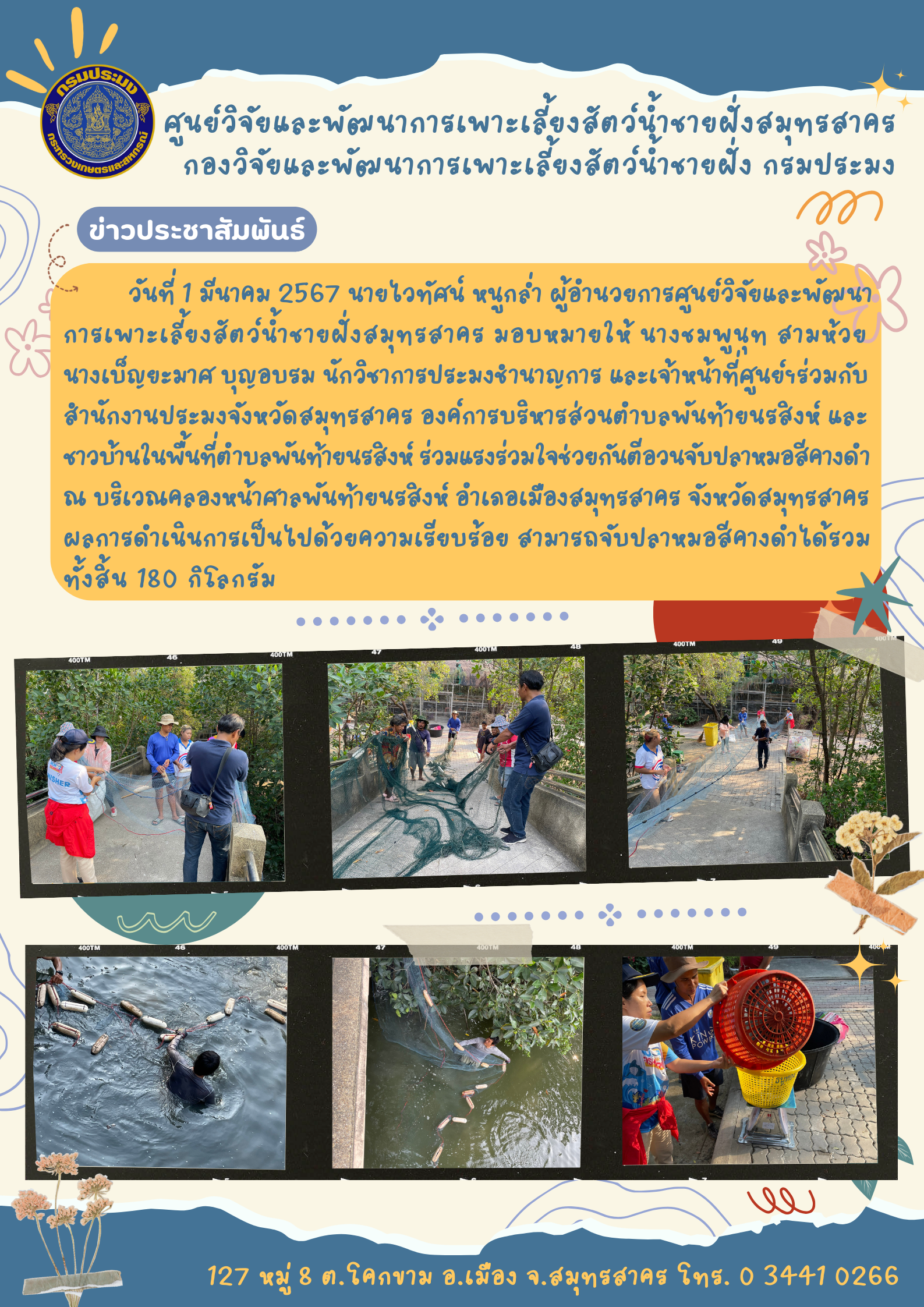ร่วมแรงร่วมใจช่วยกันตีอวนจับปลาหมอสีคางดำ ณ บริเวณหน้าคลองศาลพันท้ายนรสิงห์..คลิก