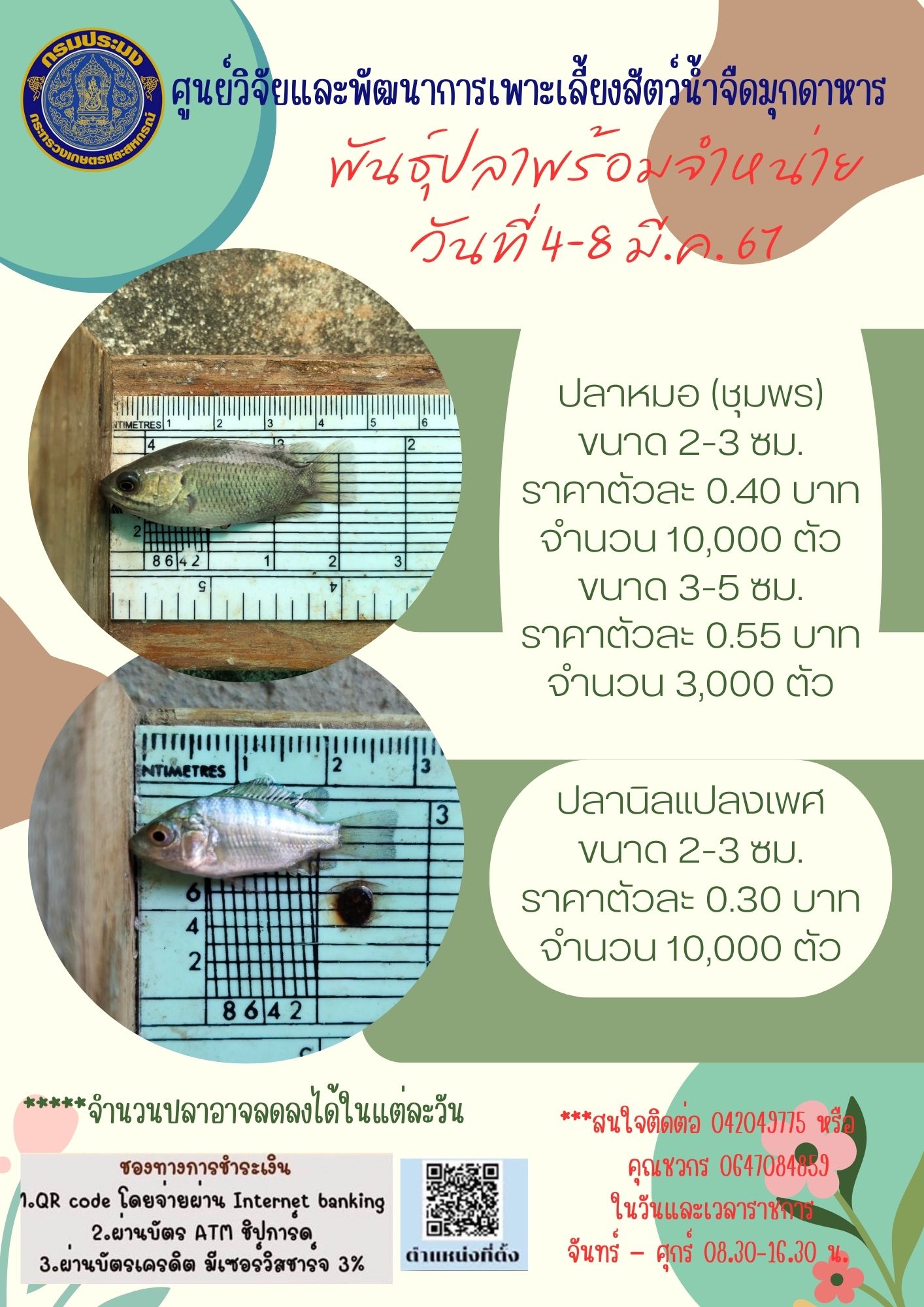 ลูกพันธุ์สัตว์น้ำพร้อมจำหน่าย 4-8 มีนาคม 2567..คลิก