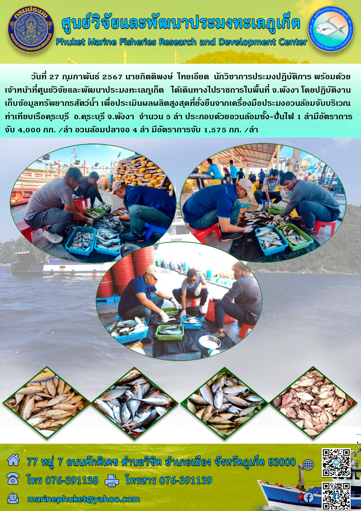 วันที่ 27 กุมภาพันธ์ 2567 นายกิตติพงษื ไทยเอียด นักวิชาการประมงปฏิบัติการ พร้อมด้วยเจ้าหน้าที่ศูนย์วิจัยและพัฒนาประมงทะเลภูเก็ต ได้เดินทางไปราชการในพื้นที่ จ.พังงา โดยปฏิบัติงาน เก็บข้อมูลทรัพยากรสัตว์น้ำ เพื่อประเมินผลผลิตสูงสุดที่ยั่งยืนจากเครื่องมือประมงอวนล้อมจับบริเวณท่าเทียบเรือคุระบุรี อ.คุระบุรี จ.พังงา จำนวน 5 ลำ ฯลฯ..คลิก