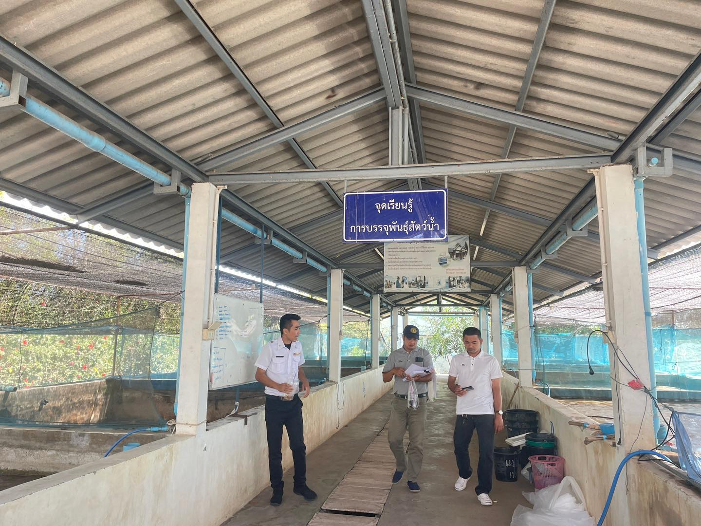 ให้การต้อนรับและให้ข้อมูลแก่เจ้าหน้าที่ศูนย์วิจัยและพัฒนาประมงน้ำจืดเพชรบุรี ในการเข้าตรวจประเมินฟาร์มเพาะพันธุ์และอนุบาลสัตว์น้ำเพื่อการบริโภค ( มกษ.7436-2565)..คลิก