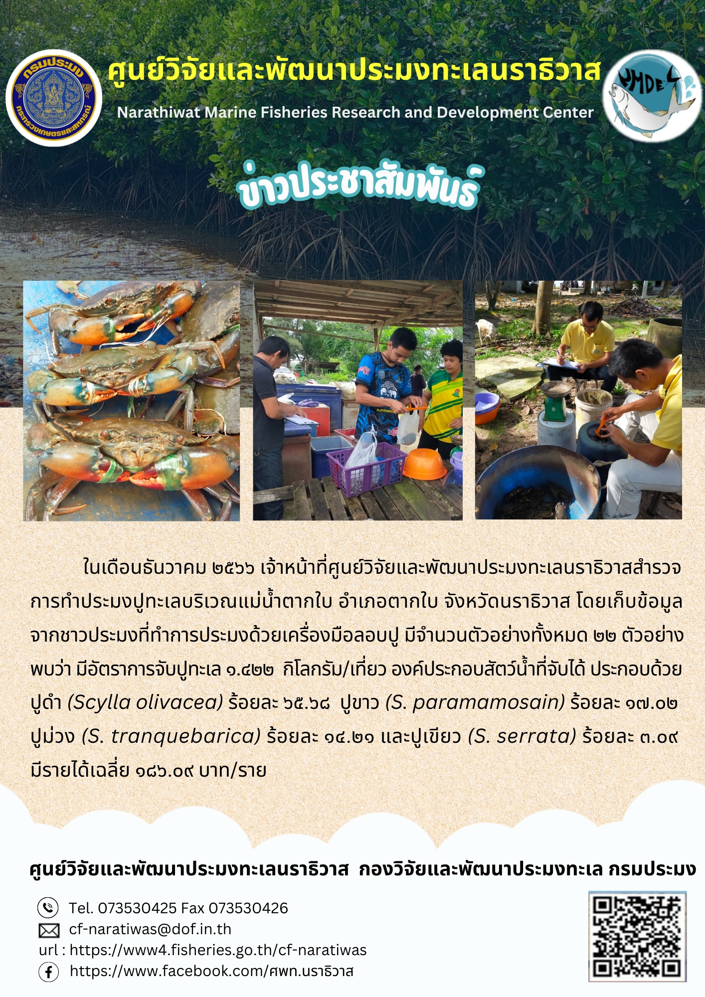 การเก็บข้อมูลผลผลิตปูทะเลประจำเดือนธันวาคม 2566..คลิก