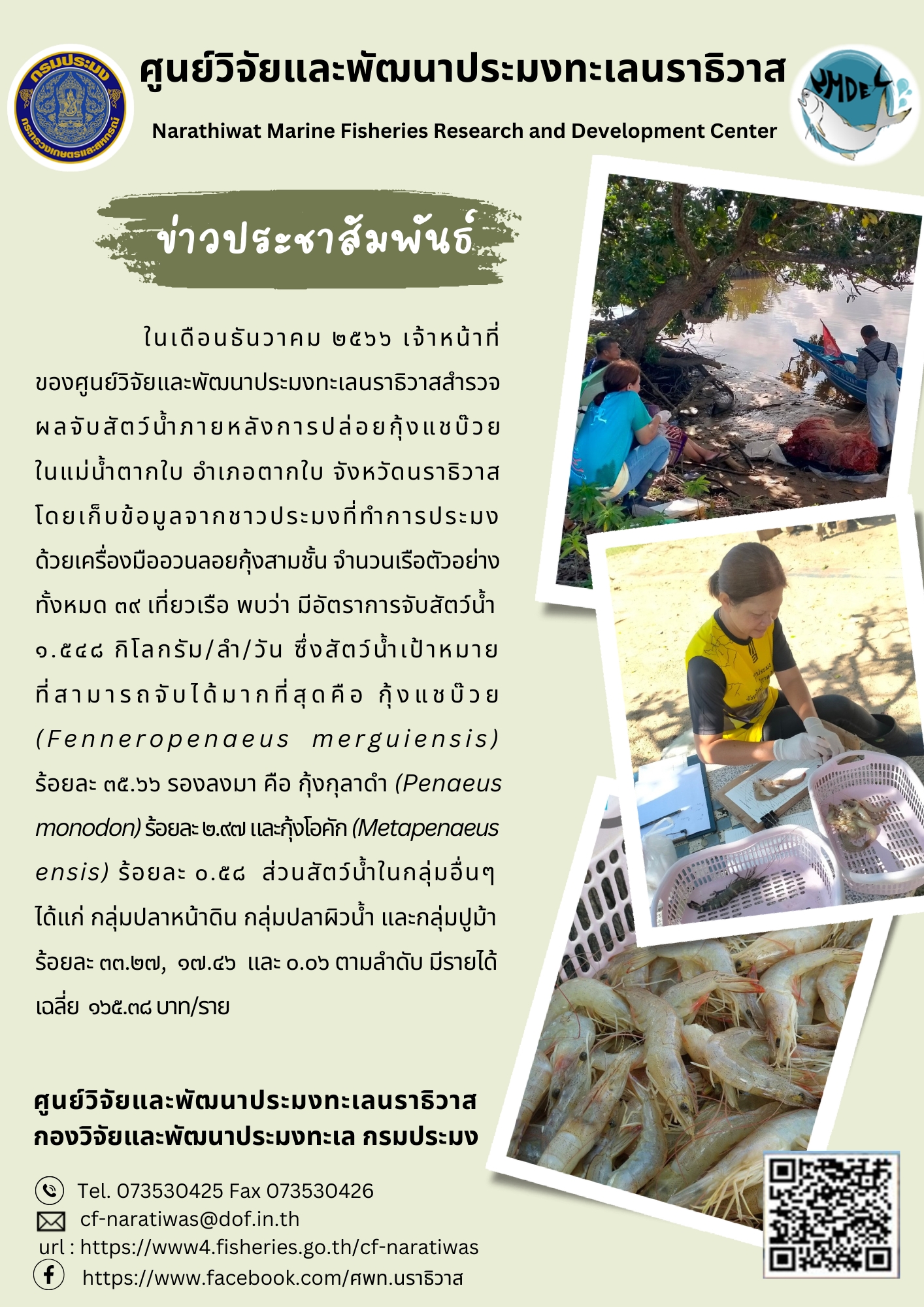 การเก็บข้อมูลผลผลิตกุ้งทะเลในแม่น้ำตากใบ ประจำเดือนธันวาคม 2566..คลิก