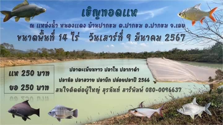 เชิญร่วมกิจกรรมทอดแห โครงการธนาคารสินค้าเกษตร (กิจกรรมสนับสนุนธนาคารผลผลิตสัตว์น้ำแบบมีส่วนร่วม)
