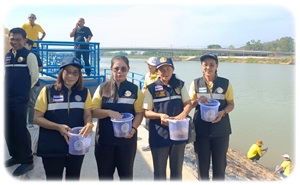 กิจกรรมปล่อยพันธุ์กุ้งก้ามกราม..คลิก