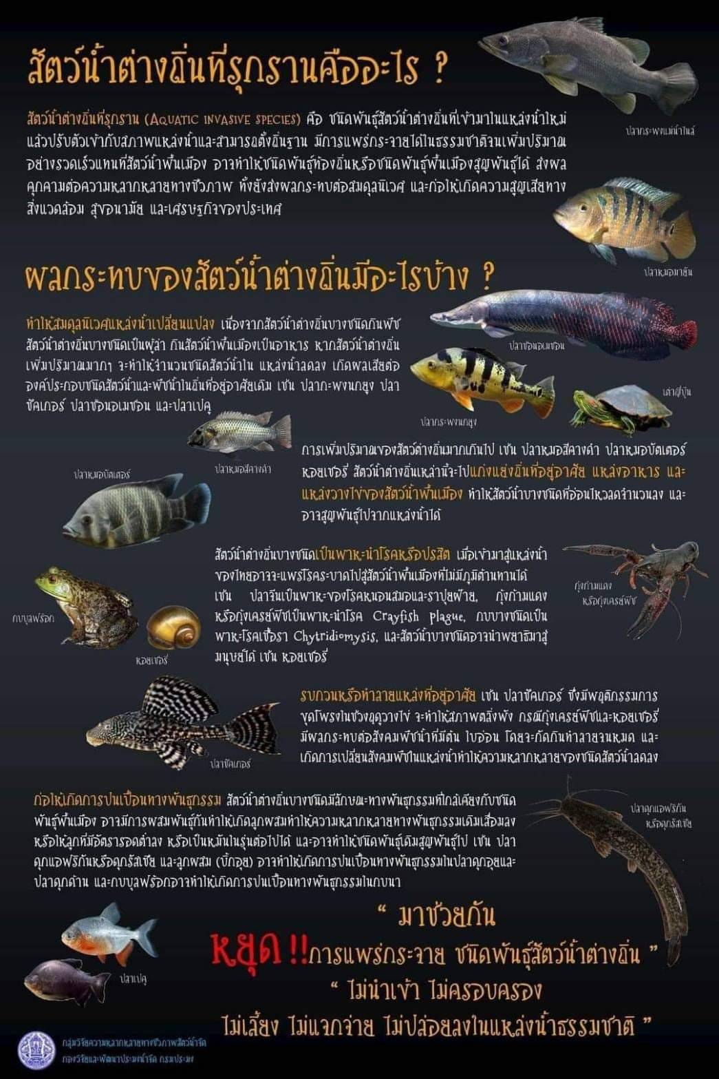 สัตว์น้ำต่างถินที่รุกราน..คลิก