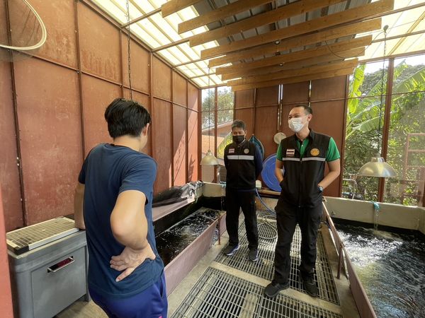 สำนักงานประมงพื้นที่กรุงเทพมหานคร ลงพื้นที่ตรวจประเมินสถานกักกันสัตว์น้ำที่ขอต่ออายุสถานกักกันสัตว์น้ำ ประจำปี 2567