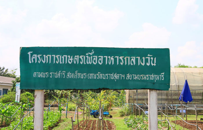 ลงพื้นที่ติดตามผลการดำเนินงาน 