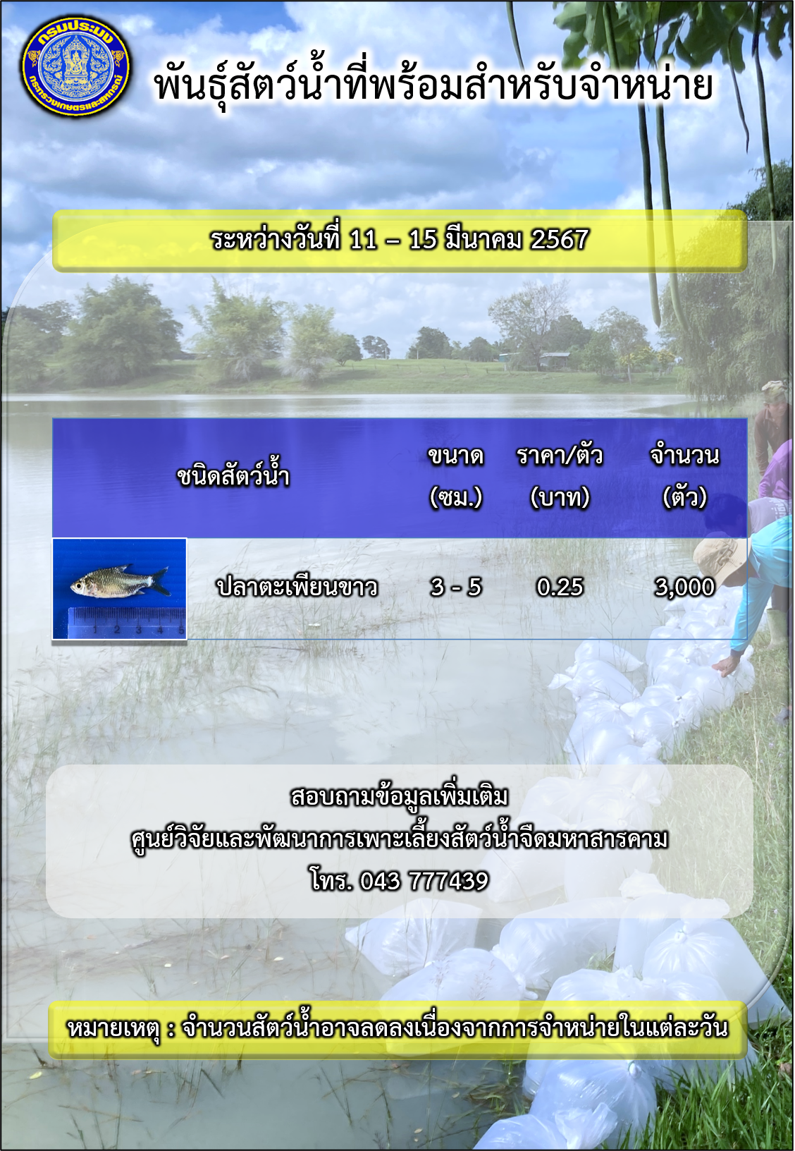 พันธุ์สัตว์น้ำที่พร้อมสำหรับจำหน่าย ในช่วงระหว่างวันที่ 11 - 15  มีนาคม 2567..คลิก