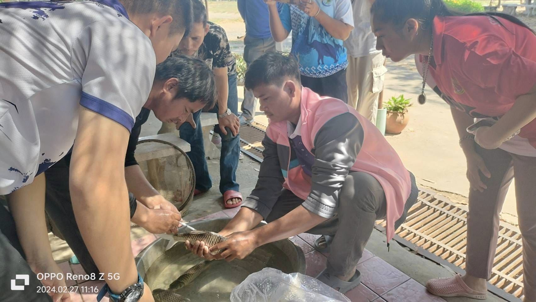 ข่าวประชาสัมพันธ์ประจำวันที่ 27-28 กุมภาพันธ์ 2567 ศูนย์วิจัยและพัฒนาการเพาะเลี้ยงสัตว์น้ำจืดศรีสะเกษ ฉบับที่ 104