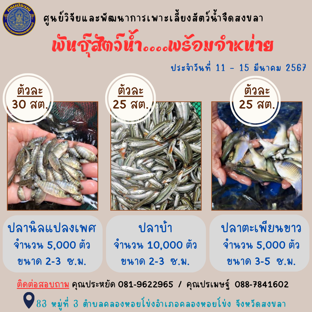 พันธุ์สัตว์น้ำพร้อมจำหน่าย