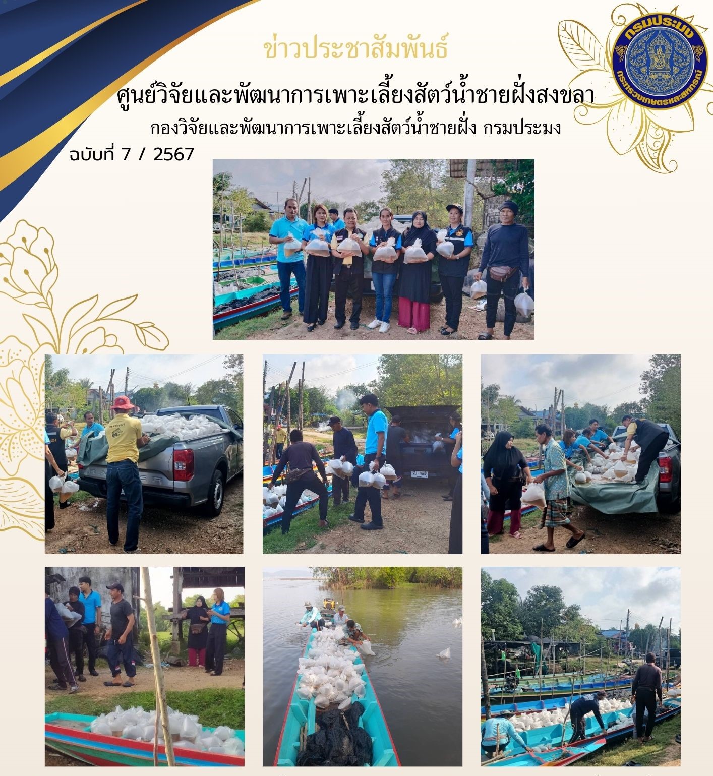 เมื่อวันที่ 7 มีนาคม 2567 นางสาวปริศนา คลิ้งสุขคล้าย ผู้อำนวยการศูนย์วิจัยและพัฒนาการเพาะเลี้ยงสัตว์น้ำชายฝั่งสงขลา มอบหมายให้นายชลิต สง่างาม นักวิชาการประมงชำนาญการ และเจ้าหน้าที่ของศูนย์ฯ ส่งมอบพันธุ์กุ้งกุลาดำระยะ PL 14..คลิก