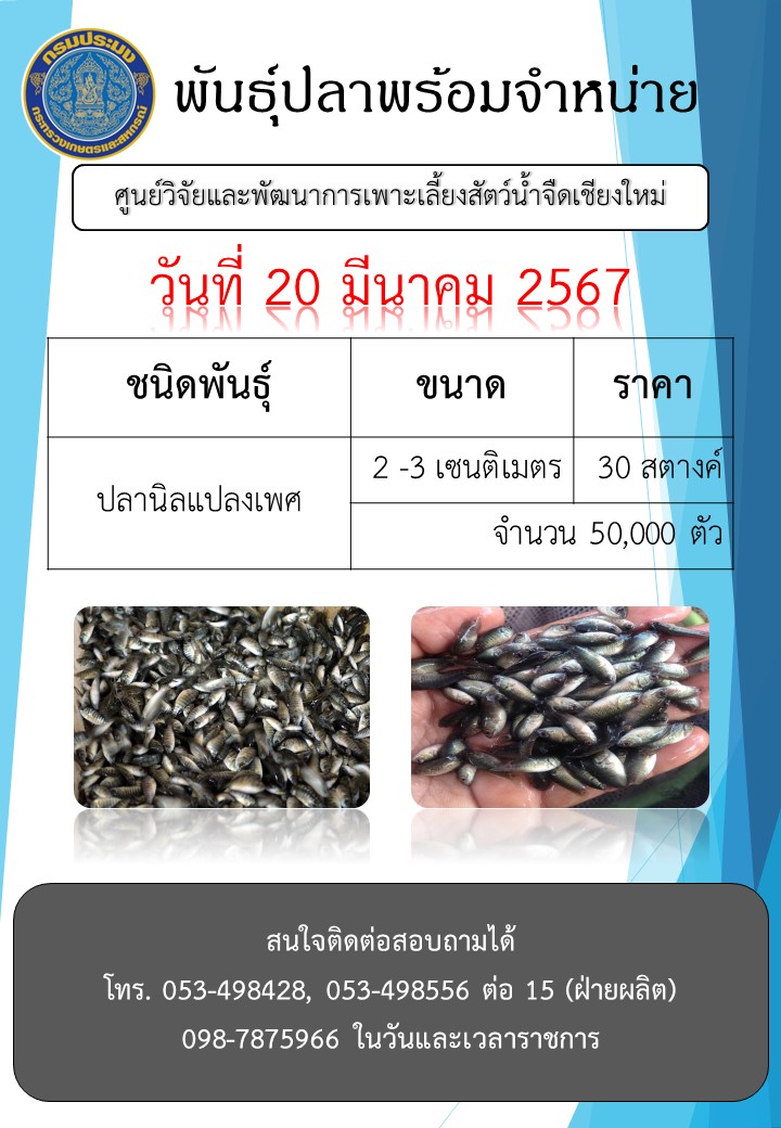 พันธุ์ปลาพร้อมจำหน่าย วันที่ 20 มีนาคม 2567