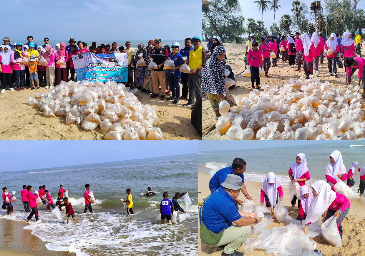 กิจกรรมปล่อยพันธุ์สัตว์น้ำ ภายใต้โครงการเพื่อสังคม (CSR)