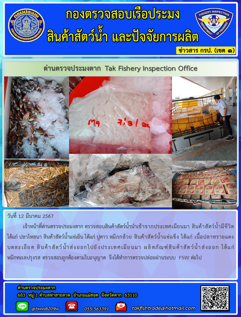 วันที่ 12 มีนาคม 2567           เจ้าหน้าที่ด่านตรวจประมงตาก ตรวจสอบสินค้าสัตว์น้ำนำเข้าจากประเทศเมียนมา สินค้าสัตว์น้ำมีชีวิต ได้แก่ ปลาไหลนา สินค้าสัตว์น้ำแช่เย็น ได้แก่ ปูดาว หมึกกล้วย สินค้าสัตว์น้ำแช่แข็ง ได้แก่ เนื้อปลาทรายแดงบดละเอียด สินค้าสัตว์น้ำส่งออกไปยังประเทศเมียนมา ผลิตภัณฑ์สินค้าสัตว์น้ำส่งออก ได้แก่  หมึกทะเลปรุงรส ตรวจสอบถูกต้องตามใบอนุญาต จึงได้ทำการตรวจปล่อยผ่านระบบ FSW ต่อไป..คลิก
