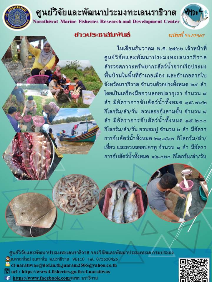 การสำรวจสภาวะทรัพยากรสัตว์น้ำจากเรือประมงพื้นบ้านประจำเดือนธันวาคม 2566..คลิก