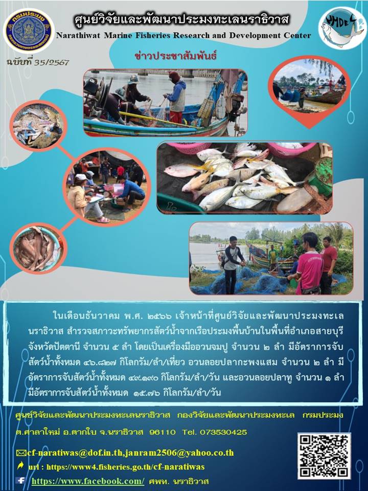 การสำรวจสภาวะทรัพยากรสัตว์น้ำจากเรือประมงอวนพื้นบ้าน ประจำเดือนธันวาคม  2566 ในพื้นที่ อำเภอสายบุรี จ.ปัตตานี..คลิก