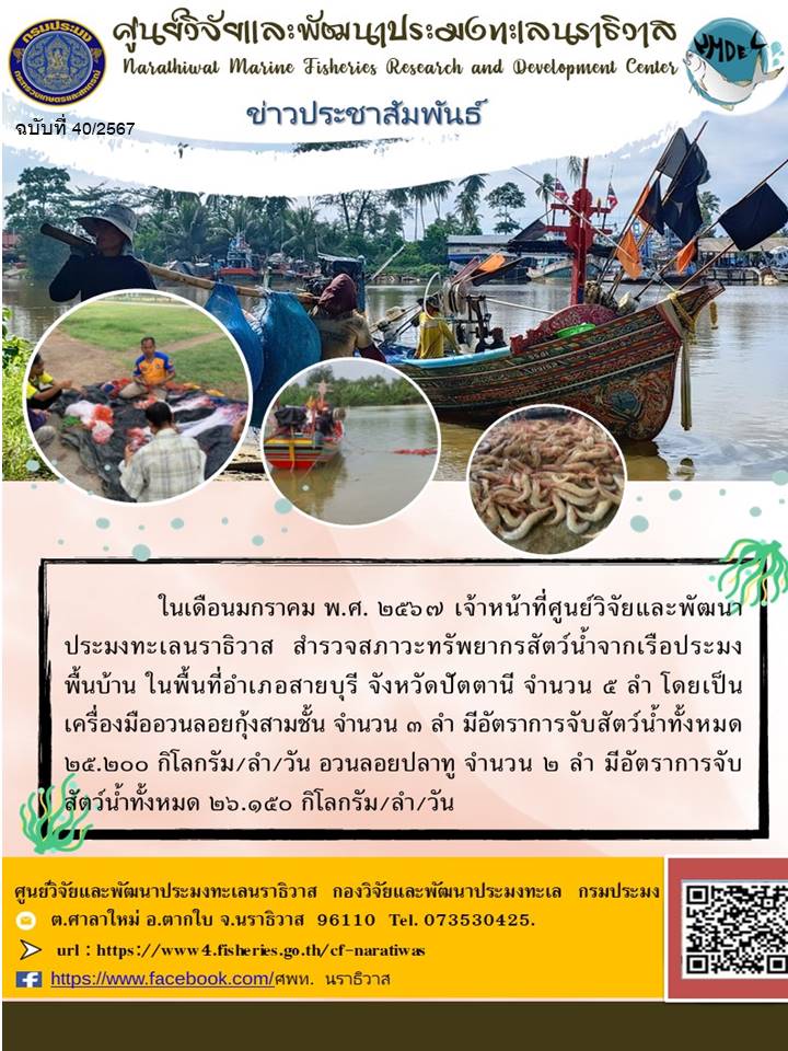 การสำรวจสภาวะทรัพยากรประมงจากเรือประมงพื้นบ้าน ประจำเดือนมกราคม 2567  ในพื้นที่  จ.ปัตตานี..คลิก