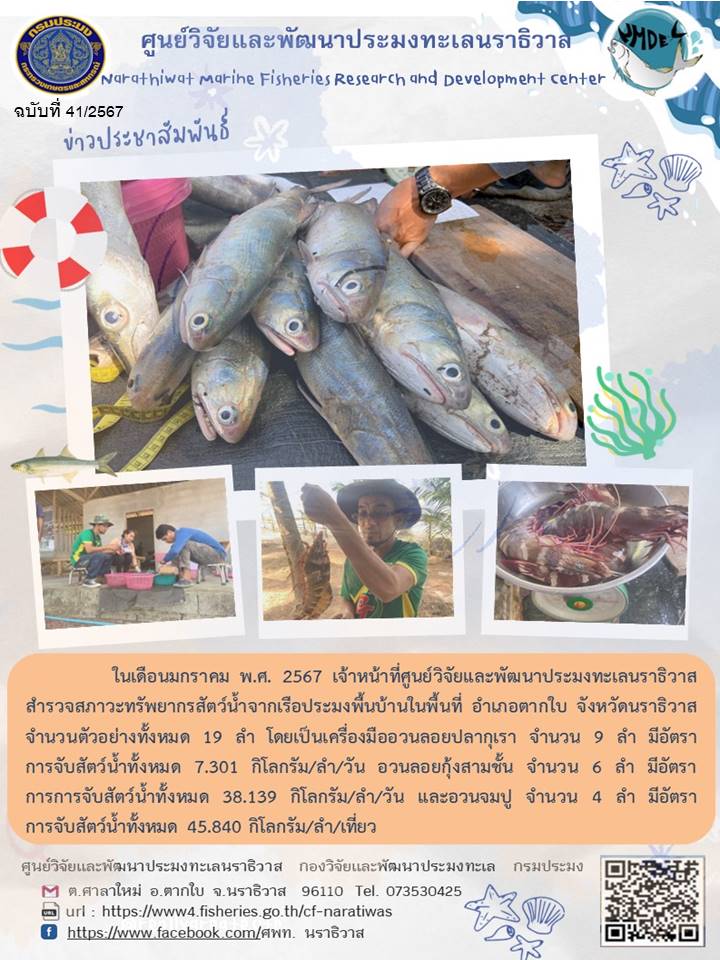 การสำรวจสภาวะทรัพยากรประมงจากเรือประมงพื้นบ้าน ประจำเดือนมกราคม 2567  ในพื้นที่  จ.นราธิวาส..คลิก