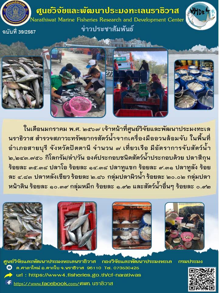 การสำรวจสภาวะทรัพยากรประมงเครื่องมืออวนล้อมจับ ประจำเดือนมกราคม  ในพื้นที่  จ.ปัตตานี..คลิก