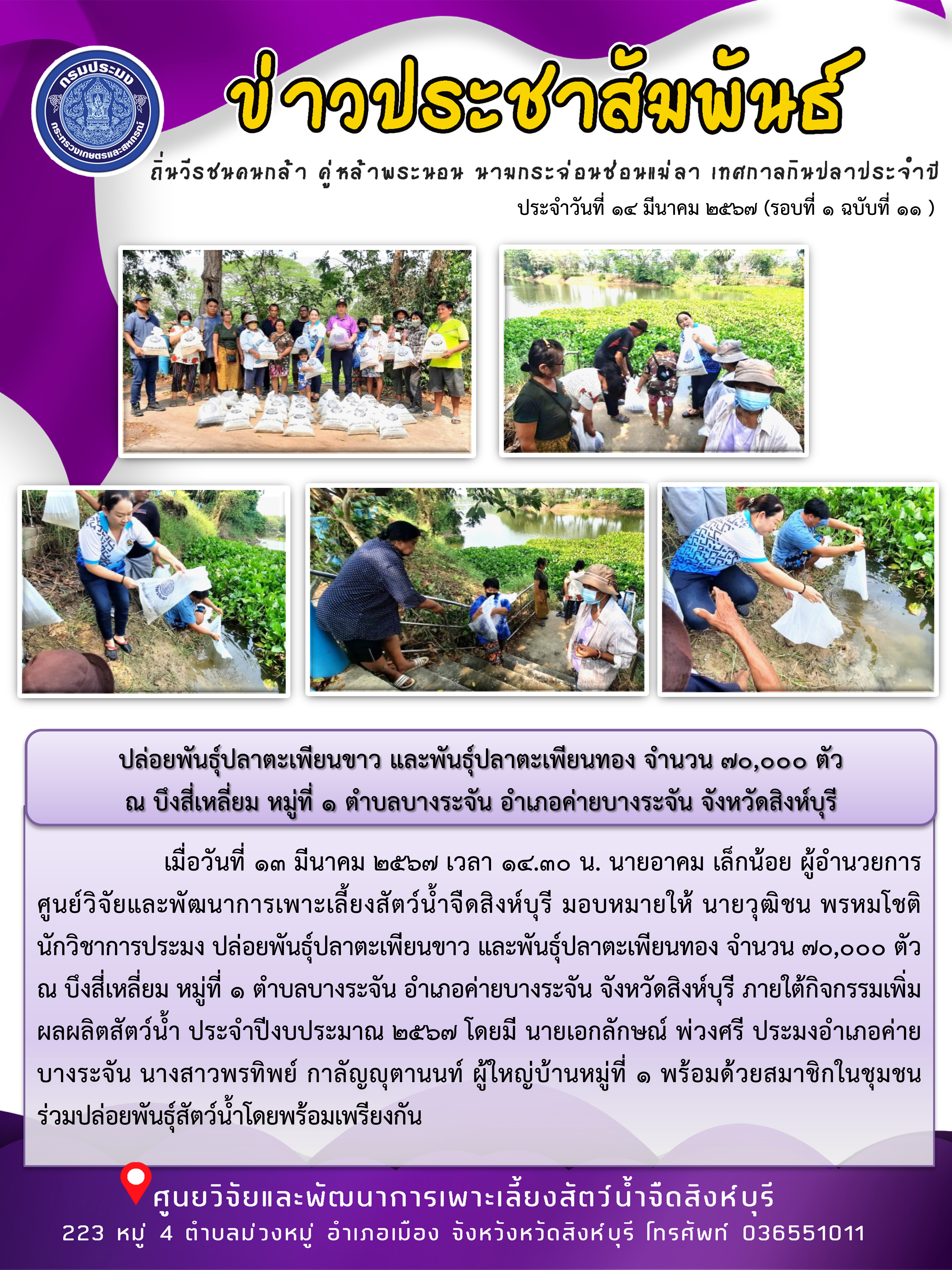 ปล่อยพันธุ์ปลาตะเพียนขาว และพันธุ์ปลาตะเพียนทอง จำนวน 70,000 ตัว  ณ บึงสี่เหลี่ยม หมู่ที่ 1 ตำบลบางระจัน อำเภอค่ายบางระจัน จังหวัดสิงห์บุรี..คลิก