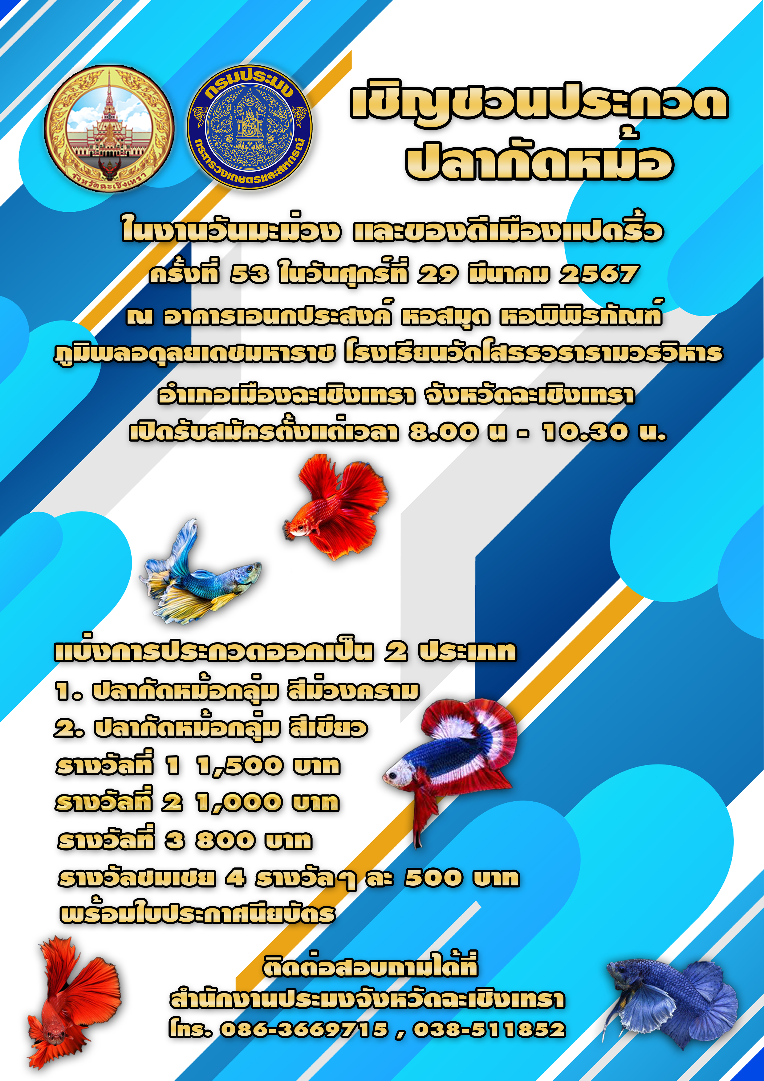 สำนักงานประมงจังหวัดฉะเชิงเทราขอเชิญร่วมประกวดปลากัดหม้อ ในงานวันมะม่วง และของดีเมืองแปดริ้ว ครั้งที่ 53 ในวันศุกร์ที่ 29 มีนาคม 2567 ณ อาคารเอนกประสงค์ หอสมุด หอพิพิธภัณฑ์ภูมิพลอดุลยเดชมหาราช โรงเรียนวัดโสธรวรารามวรวิหาร อำเภอเมือง จังหวัดฉะเชิงเทรา