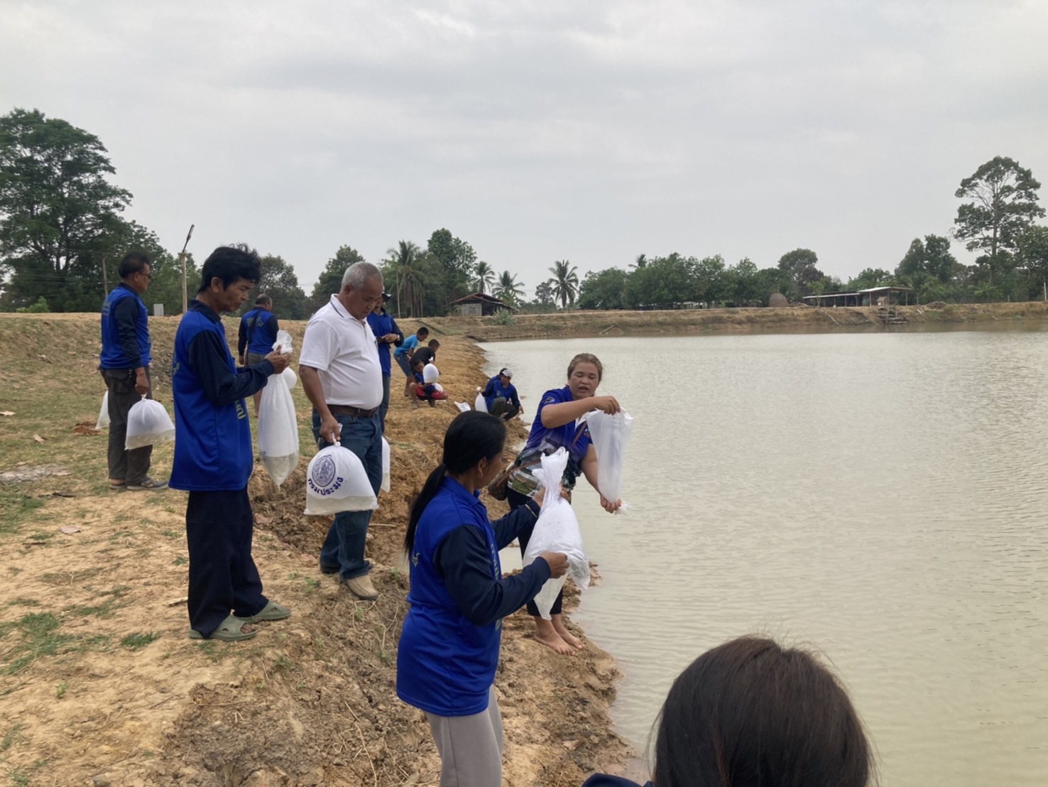 จัดกิจกรรมปล่อยพันธุ์สัตว์น้ำ โครงการธนาคารสินค้าเกษตรกิจกรรมสนับสนุนแบบมีส่วนร่วม ณ แหล่งน้ำหนองหัวช้าง..คลิก