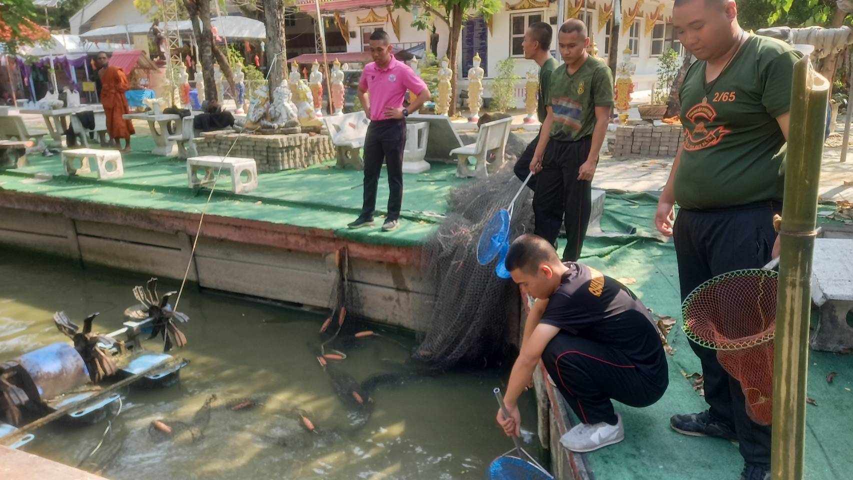 ภารกิจจับปลาวัดกล้วย (พระเจ้าทันใจ) อ.เมืองนนทบุรี จังหวัดนนทบุรี ไปปล่อยในแม่น้ำเจ้าพระยา..คลิก