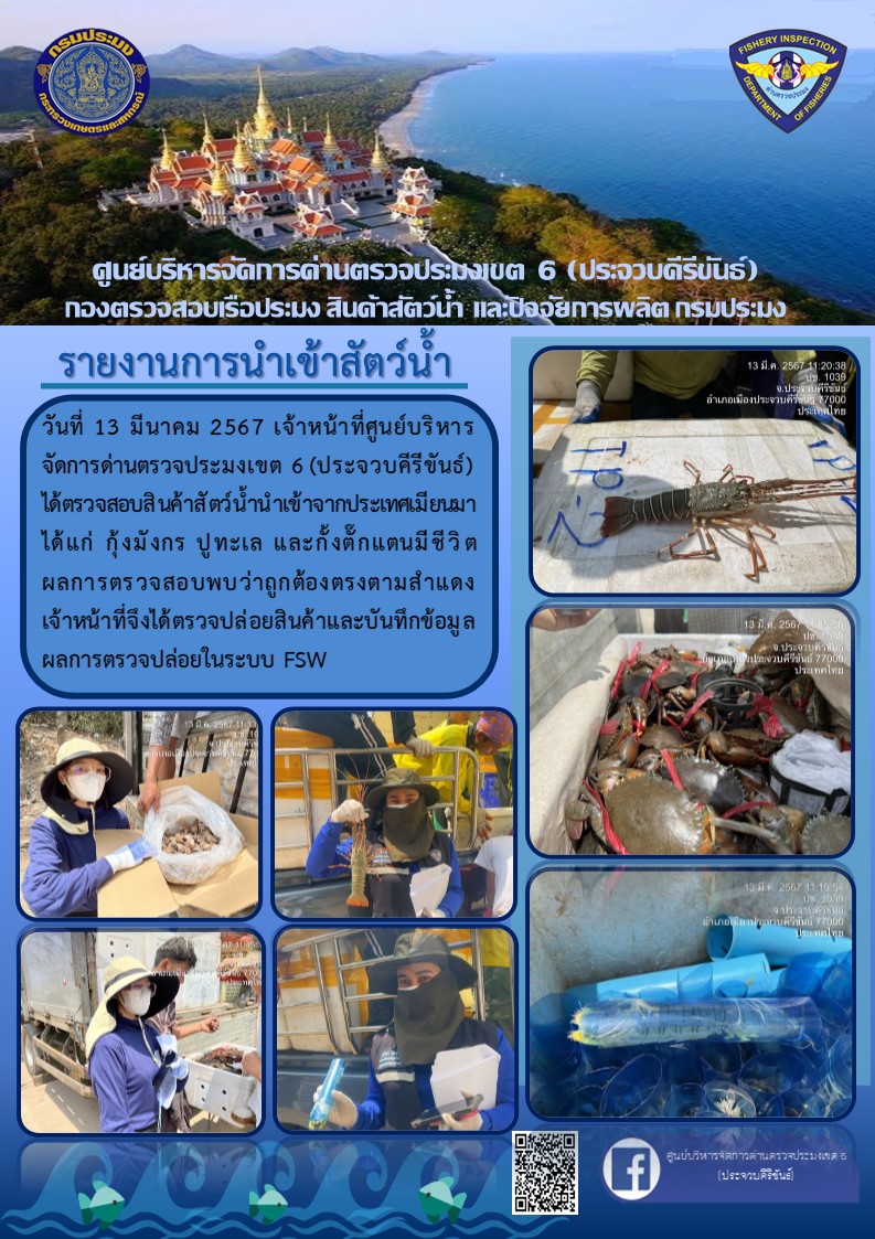 ตรวจสอบสินค้าสัตว์น้ำนำเข้าจากประเทศเมียนมา..คลิก