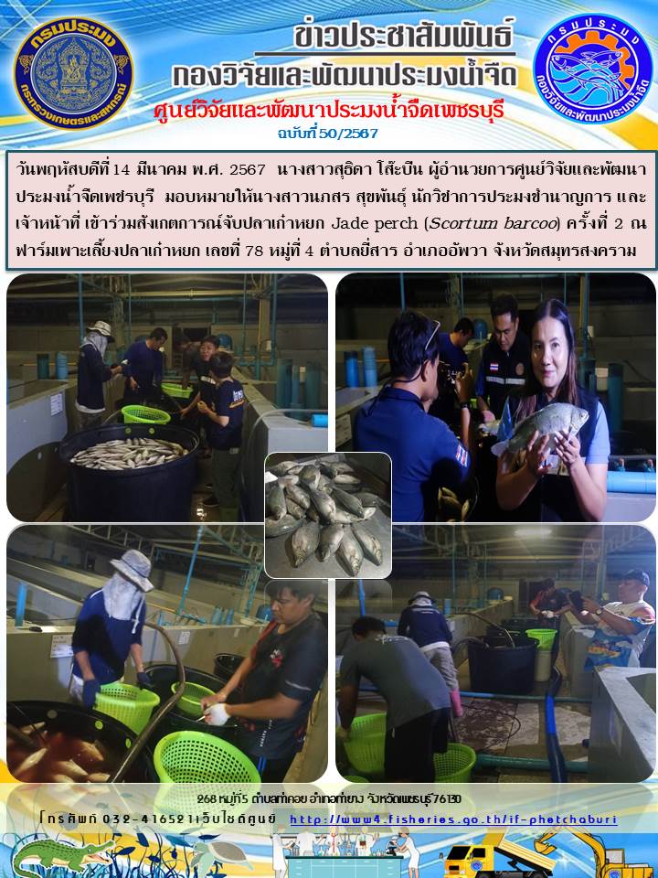 ข่าวประชาสัมพันธ์ครั้งที่ 50/2567..คลิก