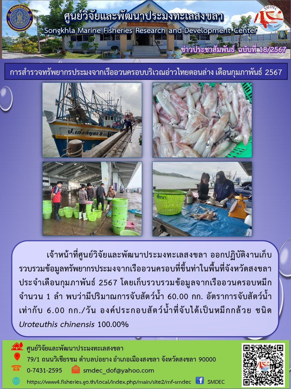 เจ้าหน้าที่ศูนย์วิจัยและพัฒนาประมงทะเลสงขลา ออกปฏิบัติงานเก็บรวบรวมข้อมูลทรัพยากรประมงจากเรืออวนครอบที่ขึ้นท่าในพื้นที่จังหวัดสงขลา ประจำเดือนกุมภาพันธ์ 2567 โดยเก็บรวบรวมข้อมูลจากเรืออวนครอบหมึก จำนวน 1 ลำ พบว่ามีปริมาณการจับสัตว์น้ำ 60.00 กก. อัตราการจับสัตว์น้ำเท่ากับ 6.00 กก./วัน องค์ประกอบสัตว์น้ำที่จับได้เป็นหมึกกล้วย ชนิด Uroteuthis chinensis 100.00% ฯลฯ..คลิก